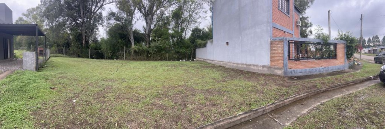 LOTE LOS NOGALES. NATANIA 48