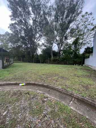 LOTE LOS NOGALES. NATANIA 48