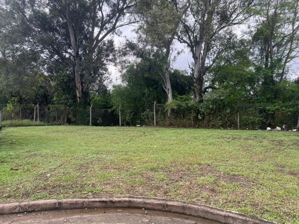 LOTE LOS NOGALES. NATANIA 48