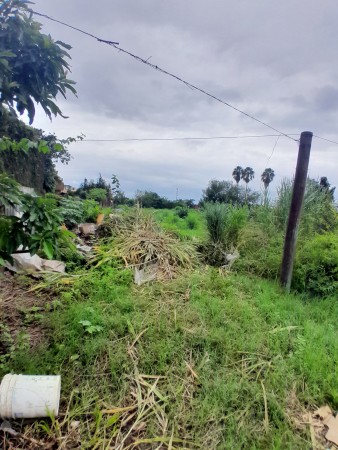 IMPORTANTE TERRENO. REPUBLICA DEL LIBANO 2400