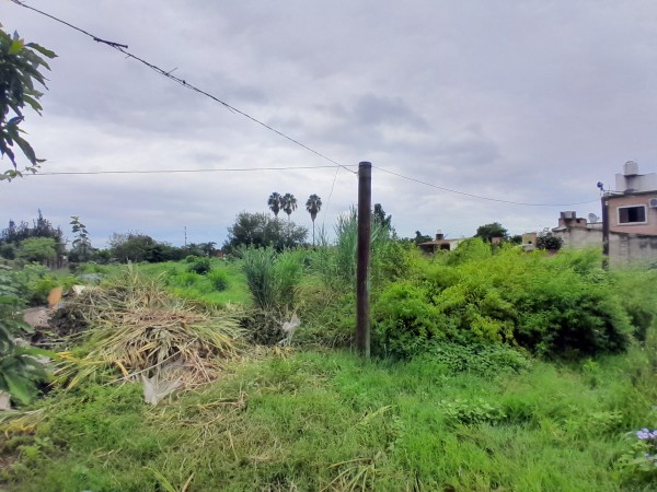 IMPORTANTE TERRENO. REPUBLICA DEL LIBANO 2400