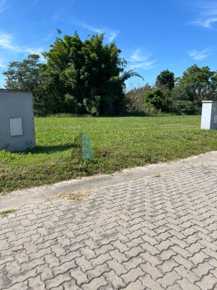 TERRENO EN VENTA LOS NOGALES