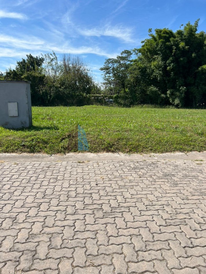 TERRENO EN VENTA LOS NOGALES