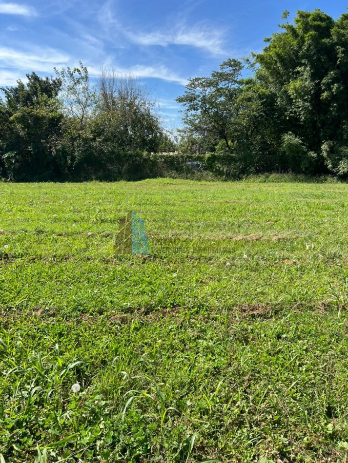 TERRENO EN VENTA LOS NOGALES