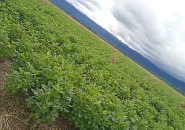 IMPORTANTE TERRENO EN SERVIDUMBRE DE PASO