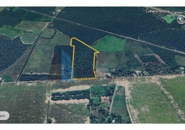TERRENO EN TERMAS DE RIO HONDO